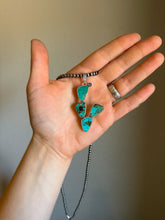 Load image into Gallery viewer, Prickly Pear Pendant
